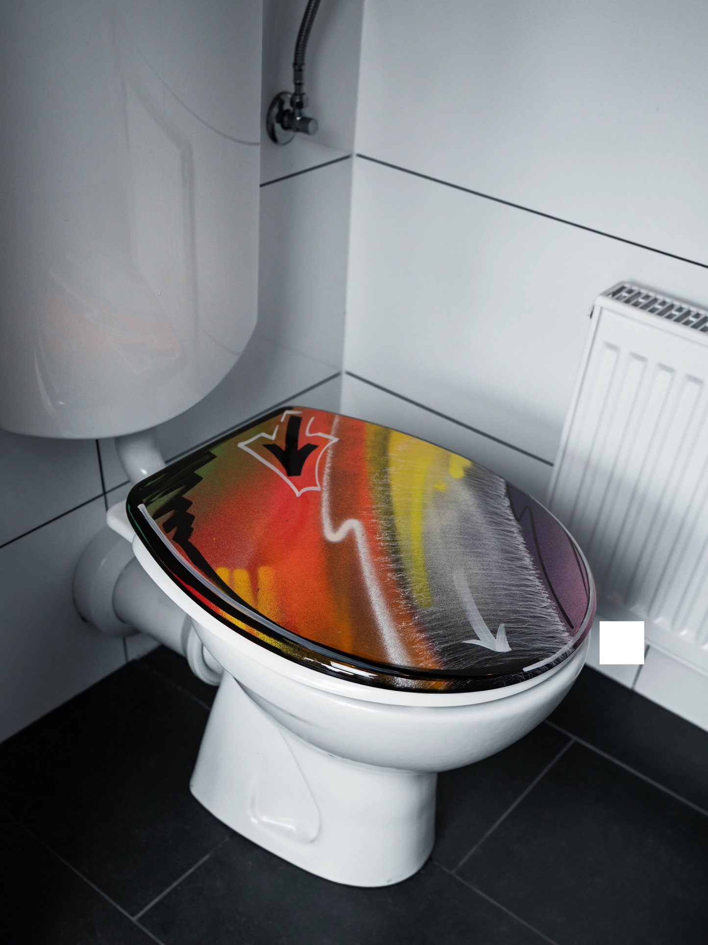 One of One #20 - Toilet seat
