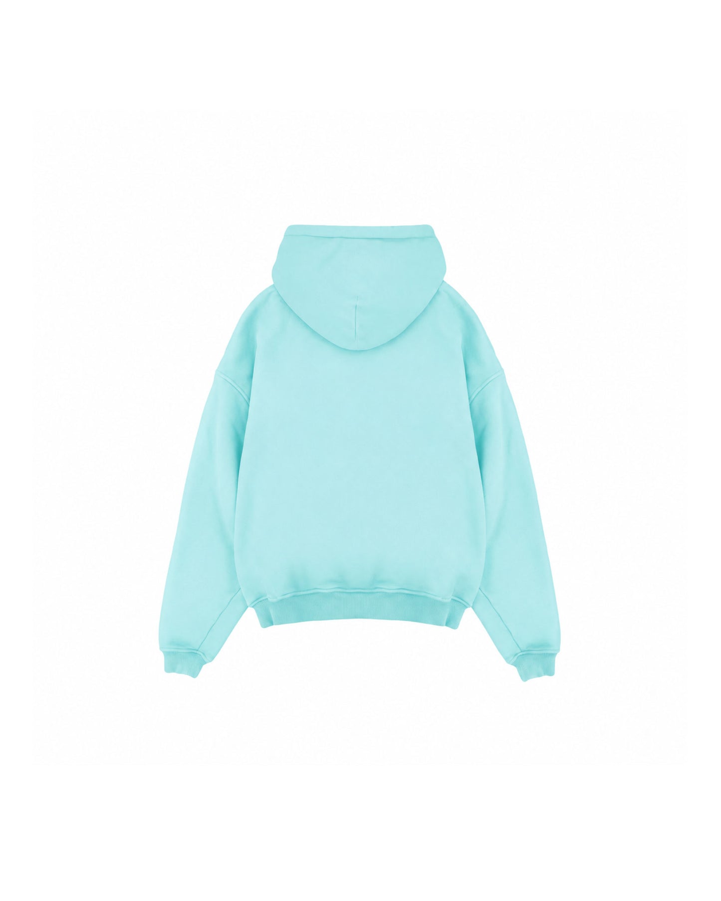 GOOD OLD TIMES - Premium Hoodie Mint