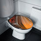 One of One #22 - Toilet seat